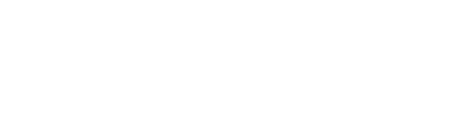 Pasar Depot Air Indonesia